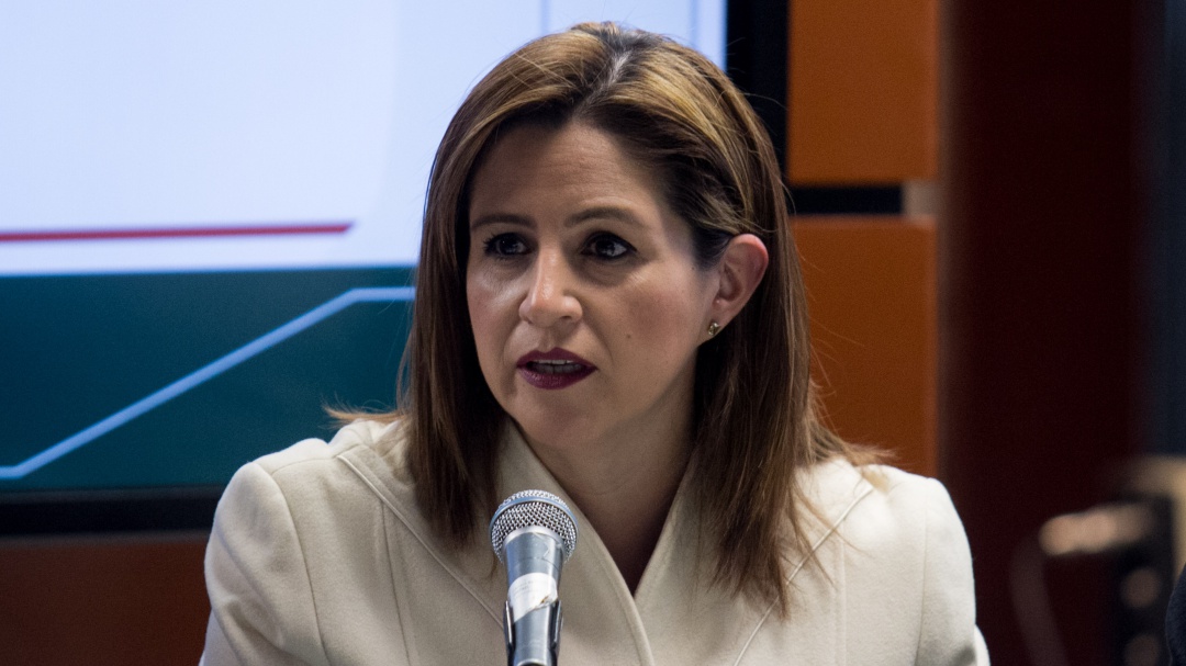 Ley de amnistía no liberará delincuentes indiscriminadamente: Martha Tagle