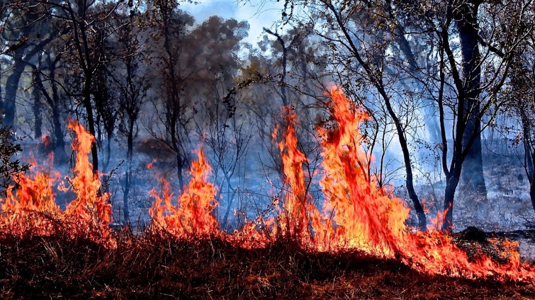 Incendios en Australia afectan todo el planeta: UNAM