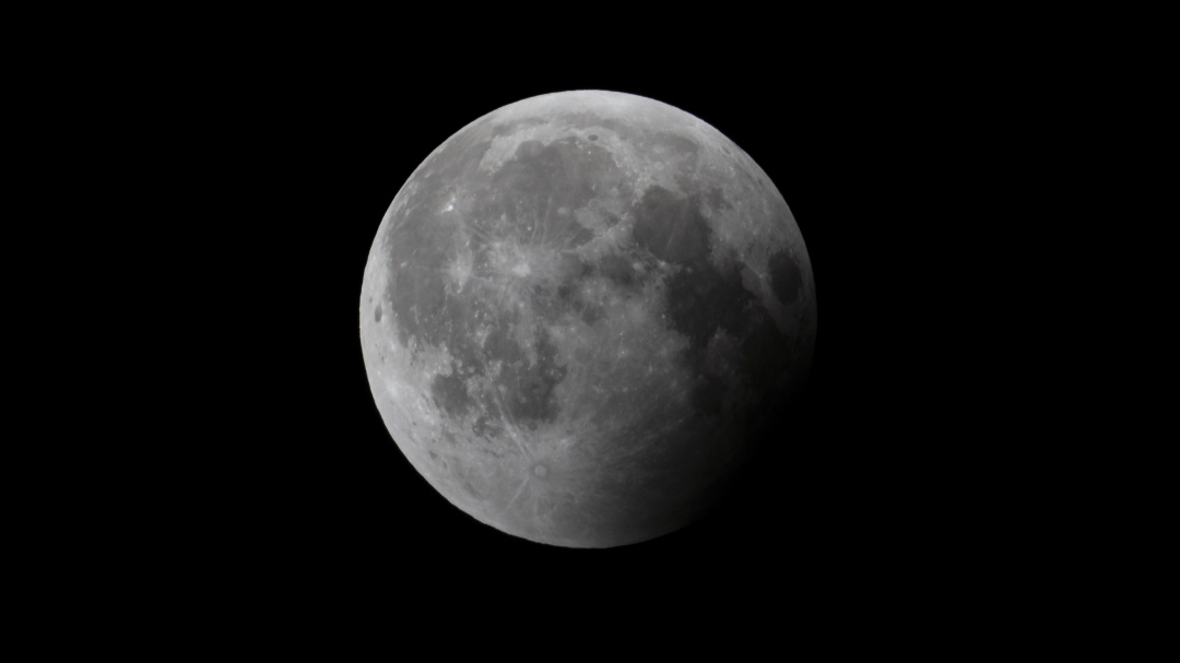 Luna del Lobo: Está por llegar la primera Luna llena de 2020