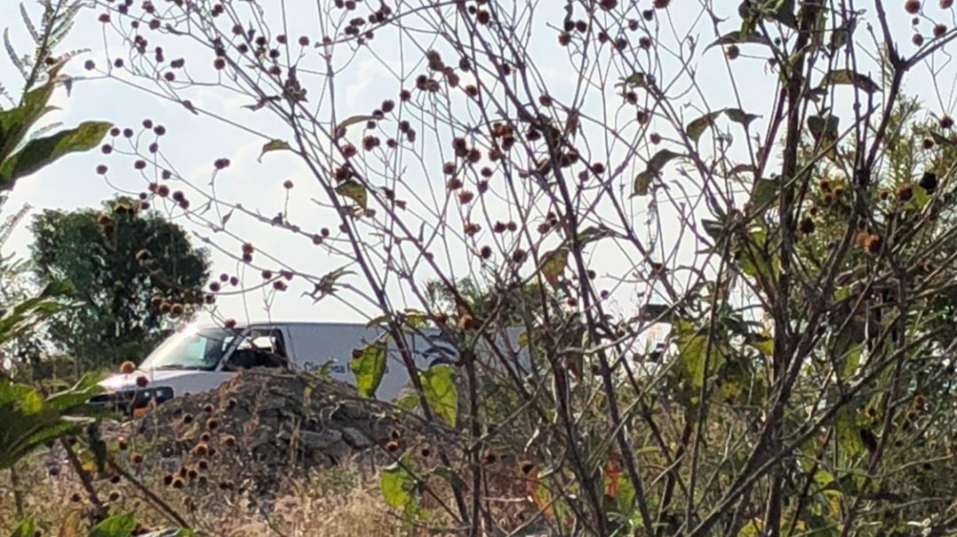 Buscan a desaparecidos en Lagos y Zapopan