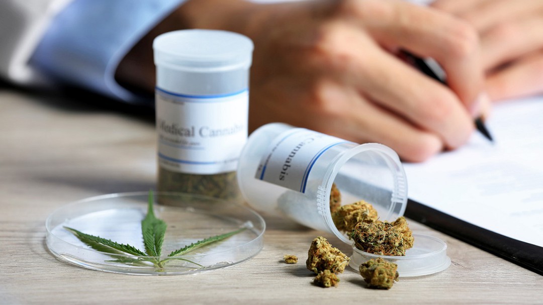 Es tiempo de legislar sobre cannabis: Zara Snapp