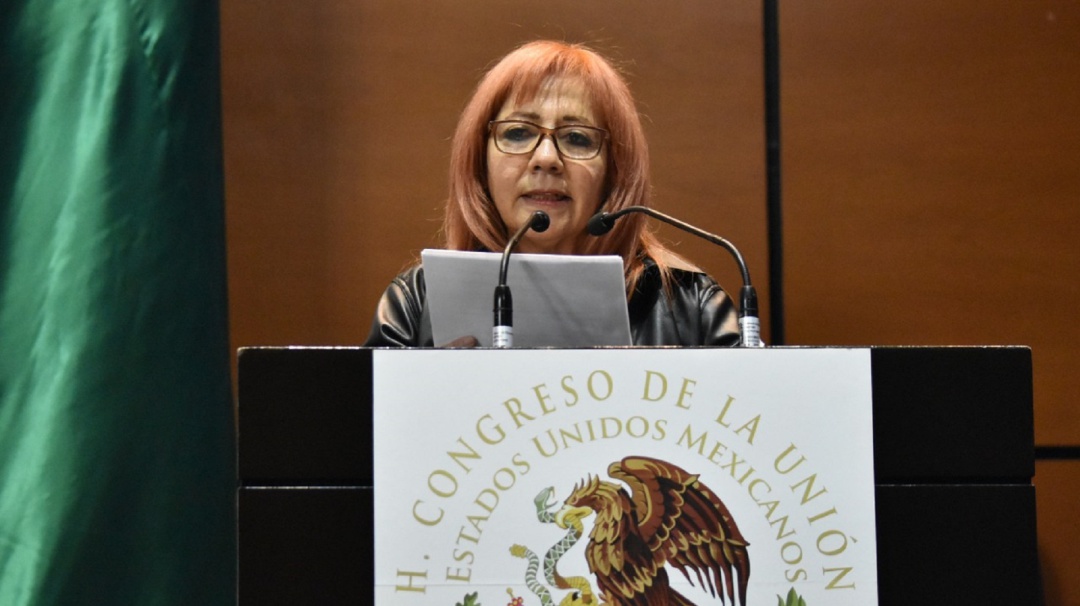 Titular de CNDH rinde informe de labores ante el Congreso