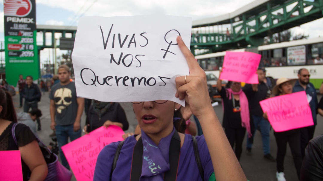 No comparto criterio de Gertz Manero sobre el feminicidio: Malú Micher