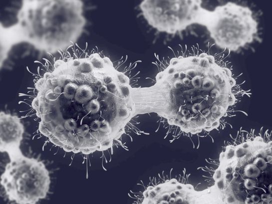 El cáncer sigue las leyes de la evolución darwiniana, el mismo proceso que rige la división de nuestras células El cáncer sigue las leyes de la evolución darwiniana, el mismo proceso que rige la división de nuestras células