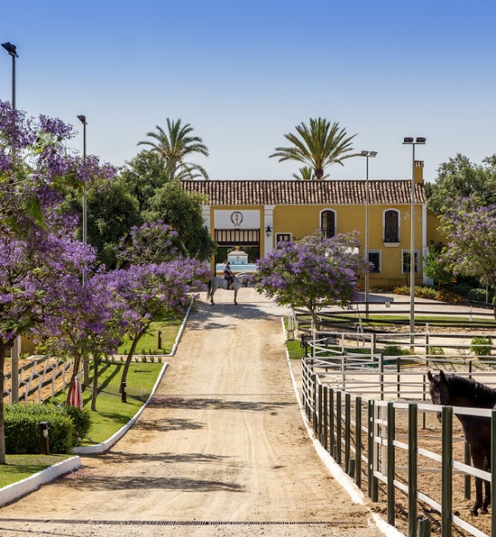 El complejo residencial, es un lugar que es muy difícil entrar, la seguridad y el silencio son parte de las normas así como la confidencialidad de los empleados El complejo residencial, es un lugar que es muy difícil entrar, la seguridad y el silencio son parte de las normas así como la confidencialidad de los empleados