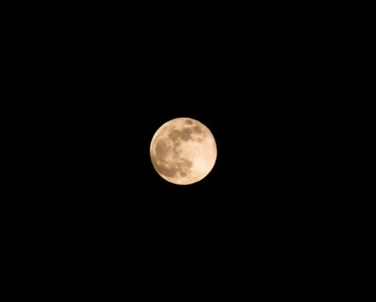 Esto se podrá apreciar el lunes por la noche del 9 de marzo en todas partes del mundo Esto se podrá apreciar el lunes por la noche del 9 de marzo en todas partes del mundo