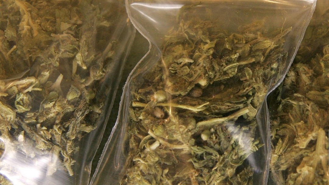 #MesaCannabicaWFM: Quieren crear el Instituto Mexicano de la Cannabis