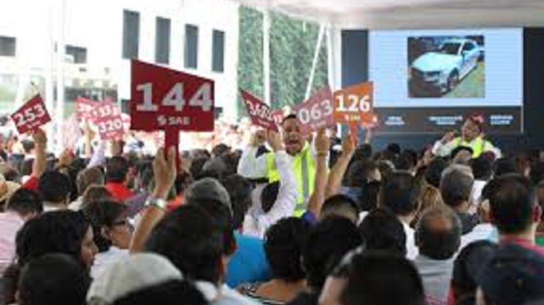 Inicia primer subasta del 2020 en los Pinos y la octava de este gobierno