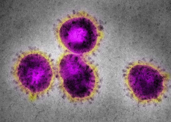 La OMS hace la designación de pandemia cuando hay brotes en al menos dos continentes. La OMS hace la designación de pandemia cuando hay brotes en al menos dos continentes.
