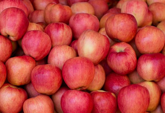 Manzanas es una sugerencia Manzanas es una sugerencia