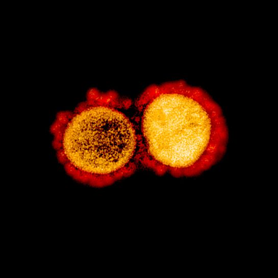 teoria-conspiracional-coronavirus- teoria-conspiracional-coronavirus-