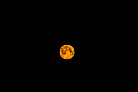 Así fue el espectáculo de la superluna, la más grande y brillosa de 2020 Así fue el espectáculo de la superluna, la más grande y brillosa de 2020