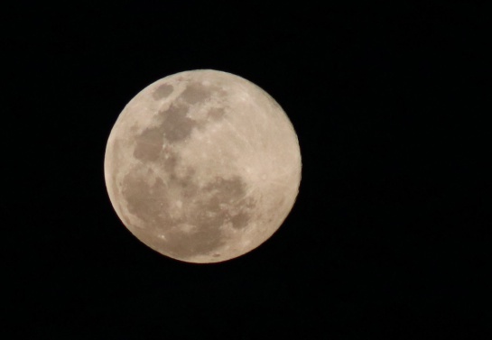 Así fue el espectáculo de la superluna, la más grande y brillosa de 2020 Así fue el espectáculo de la superluna, la más grande y brillosa de 2020