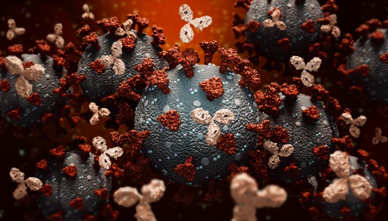 El IIBR ha liderado los esfuerzos israelíes para desarrollar un tratamiento y una vacuna para el coronavirus El IIBR ha liderado los esfuerzos israelíes para desarrollar un tratamiento y una vacuna para el coronavirus