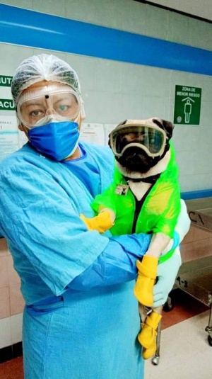 Su misión es ayudar a reducir el desgaste emocional y físico del personal médico Su misión es ayudar a reducir el desgaste emocional y físico del personal médico