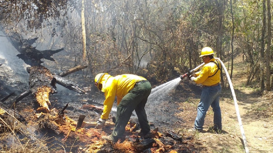 Se registran 51 incendios en 13 estados
