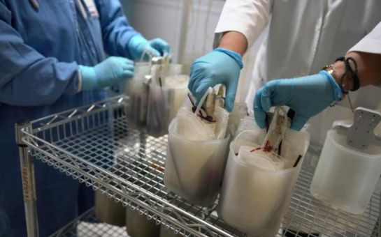 Conoce como hacer una donación de plasma para atención a pacientes de COVID-19 con la que pueden apoyar pacientes recuperados de coronavirus Conoce como hacer una donación de plasma para atención a pacientes de COVID-19 con la que pueden apoyar pacientes recuperados de coronavirus