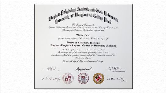 Este es el diploma que recibió Moose por el trabajo que realiza Este es el diploma que recibió Moose por el trabajo que realiza