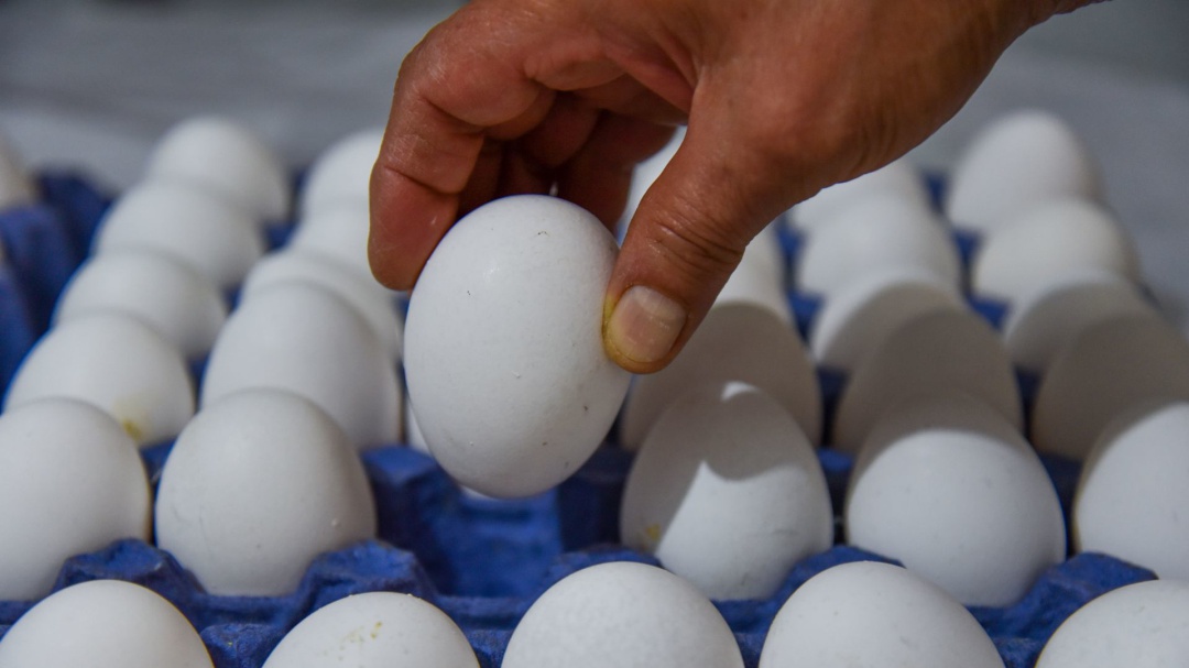 Baja precio de huevo, pollo, limón y cebolla: Profeco