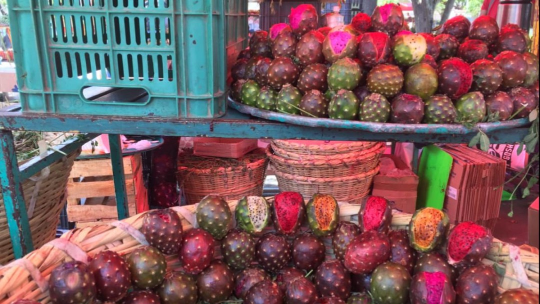 Gente desconoce nueva ubicación de vendedores de pitayas