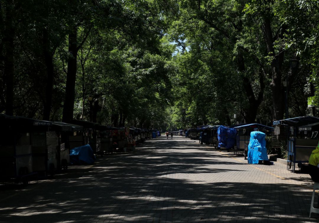 Reabrirán bosques en la CDMX para ejercitarse a partir del 2 de junio