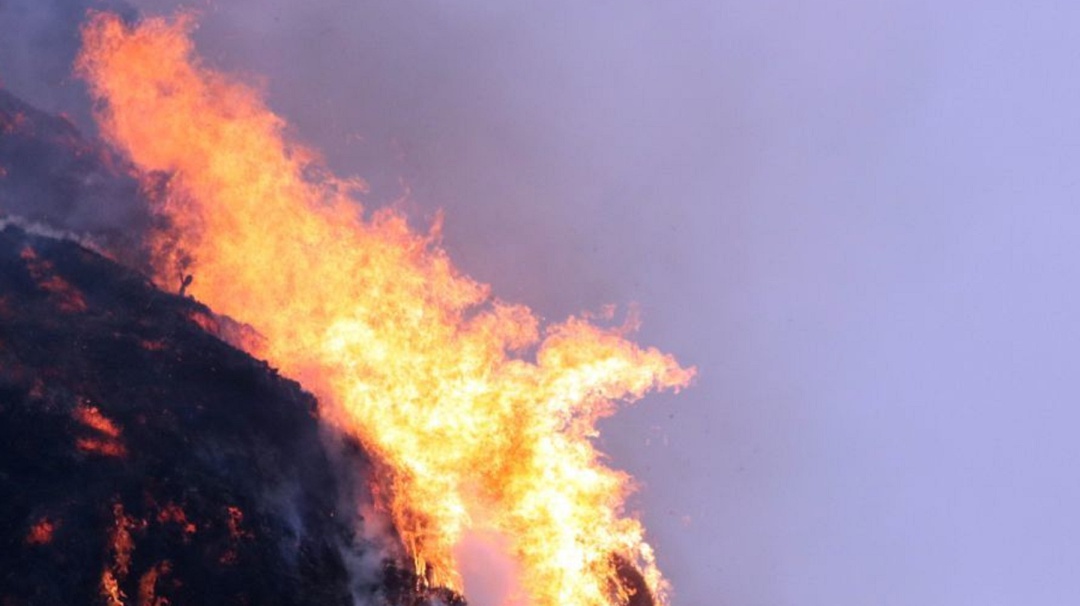 Profepa denuncia ante FGR a responsable de incendio forestal en Tepoztlán