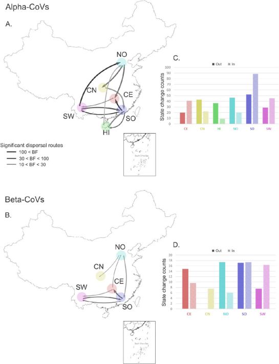 nuevos-coronavirus-muercielagos-en-china-estudio- nuevos-coronavirus-muercielagos-en-china-estudio-