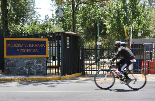 Facultad de Medicina Veterina donde se instalará un laboratorio para trabajar en la vacuna cinta el COVID-19 Facultad de Medicina Veterina donde se instalará un laboratorio para trabajar en la vacuna cinta el COVID-19