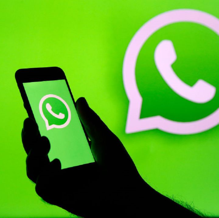 Tus stickers ahora podrán tener movimiento en WhatsApp