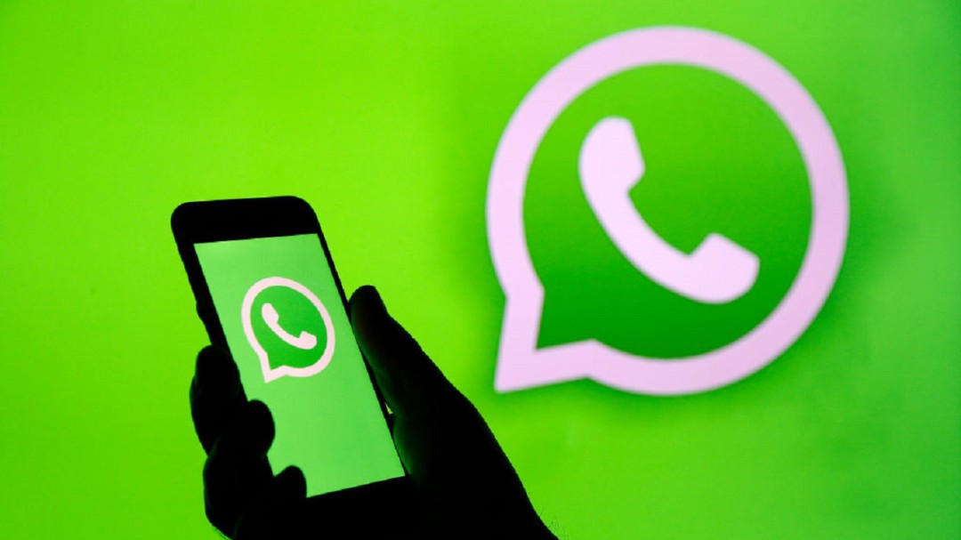 Tus stickers ahora podrán tener movimiento en WhatsApp