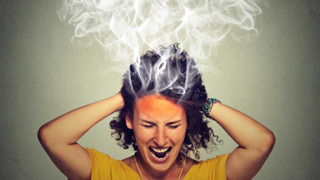 El cerebro y el odio