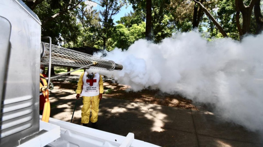 Cruz Roja fumigará contra dengue el primer cuadro de Gdl