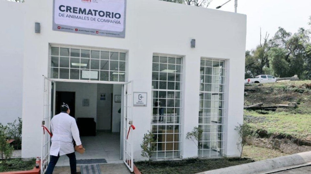 Abre el primer crematorio público para mascotas en la CDMX