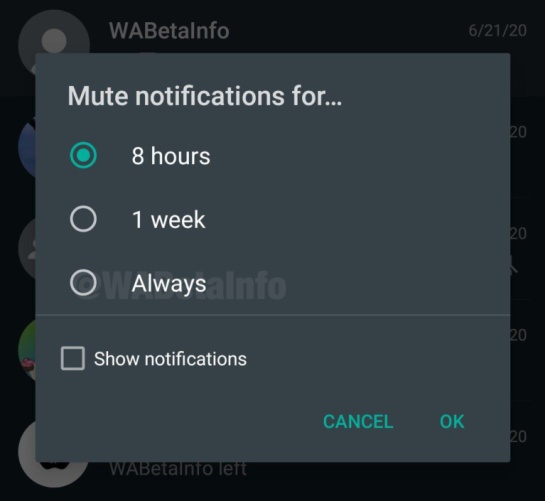 WhatsApp ya podrá silenciar los grupos para siempre WhatsApp ya podrá silenciar los grupos para siempre