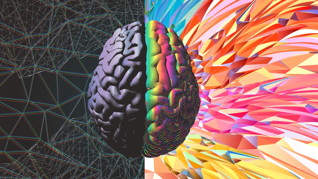 Sistema límbico: la parte emocional del cerebro