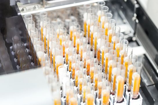 Los centros de investigación médica han incrementado la demanda considerablemente debido a la pandemia Los centros de investigación médica han incrementado la demanda considerablemente debido a la pandemia