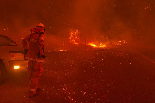 Pareja quería revelar el sexo de su bebé, pero termina provocando incendio Pareja quería revelar el sexo de su bebé, pero termina provocando incendio