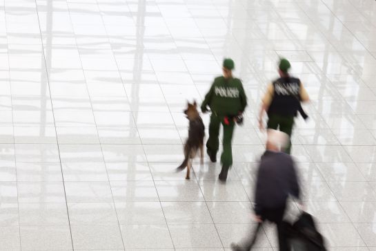 Los científicos aún no están seguros de qué es exactamente lo que huelen los perros cuando detectan el virus Los científicos aún no están seguros de qué es exactamente lo que huelen los perros cuando detectan el virus