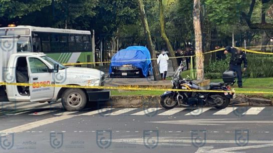 El primer impacto en el parabrisas de lado derecho arriba: “Seguido de no sé cuantos más”. El primer impacto en el parabrisas de lado derecho arriba: “Seguido de no sé cuantos más”.