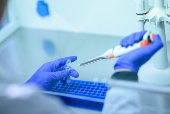 Científicos chilenos estudian posible mutación del coronavirus en la remota Patagonia Científicos chilenos estudian posible mutación del coronavirus en la remota Patagonia