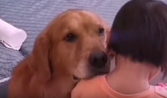 La señora Sun no esperaba esa reacción del perro, pero quedó sorprendida cuando lanzó el primer regaño a su pequeña hija La señora Sun no esperaba esa reacción del perro, pero quedó sorprendida cuando lanzó el primer regaño a su pequeña hija