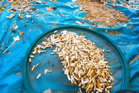 Los fumadores provocan el 24% del total de los desechos recolectados del mar, según Ocean Conservancy Los fumadores provocan el 24% del total de los desechos recolectados del mar, según Ocean Conservancy