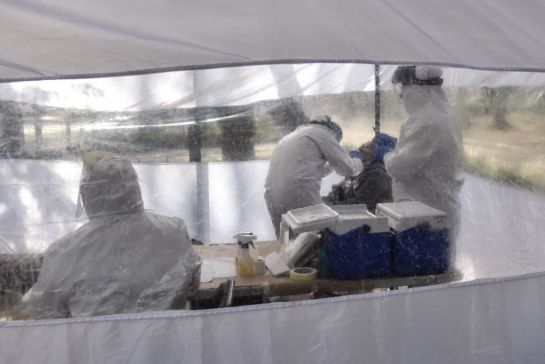 Kioscos de la CDMX para la prueba PCR para la detección de coronavirus Kioscos de la CDMX para la prueba PCR para la detección de coronavirus