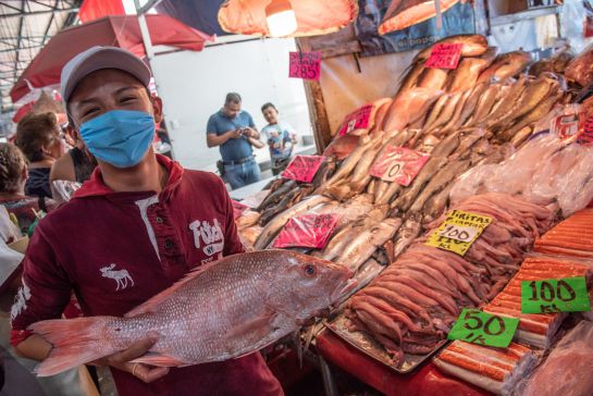Buscan trabajadores para Procesamiento de Pescados y Mariscos o Procesador de Langosta Buscan trabajadores para Procesamiento de Pescados y Mariscos o Procesador de Langosta