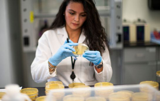 La Universidad de Miami es un importante centro médico académico en el sur de Florida, en el corazón de la epidemia de COVID-19 La Universidad de Miami es un importante centro médico académico en el sur de Florida, en el corazón de la epidemia de COVID-19