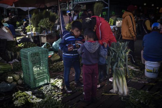 Quien reciba este recurso se le hará entrega de 1,600 pesos bimestrales por familia Quien reciba este recurso se le hará entrega de 1,600 pesos bimestrales por familia