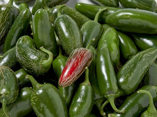 Los chiles están asociados a grandes beneficios para la salud Los chiles están asociados a grandes beneficios para la salud