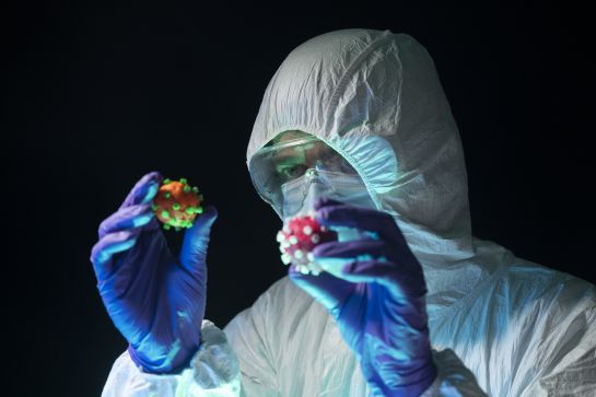 El equipo de la OMS llegó a la conclusión de que el nuevo coronavirus es de origen animal. El equipo de la OMS llegó a la conclusión de que el nuevo coronavirus es de origen animal.