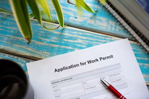 Toda persona interesada deberá mandar su postulación a una Oficina del Servicio Nacional del Empleo. Toda persona interesada deberá mandar su postulación a una Oficina del Servicio Nacional del Empleo.