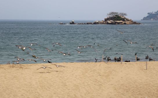 Los especialistas no pudieron examinar el agua del mar de varias playas por su cierre ante la emergencia sanitaria del COVID-19. Los especialistas no pudieron examinar el agua del mar de varias playas por su cierre ante la emergencia sanitaria del COVID-19.